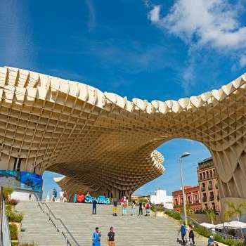 mushrooms of Sevilla